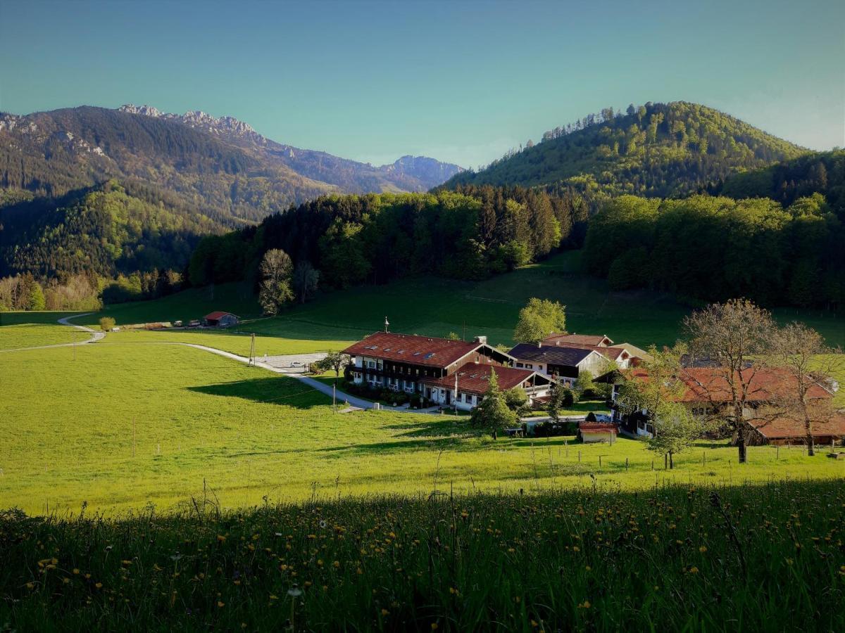Appartamento Gschwendtnerhof App10 Krausw Aschau im Chiemgau Esterno foto